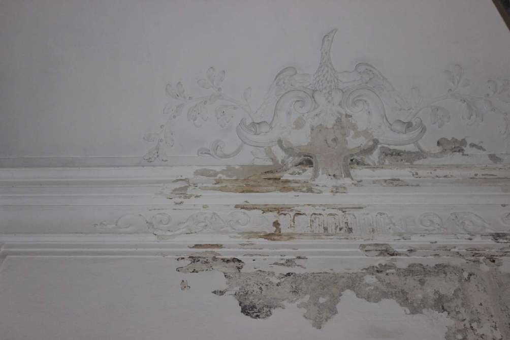 Stucco cornice with floral ornaments